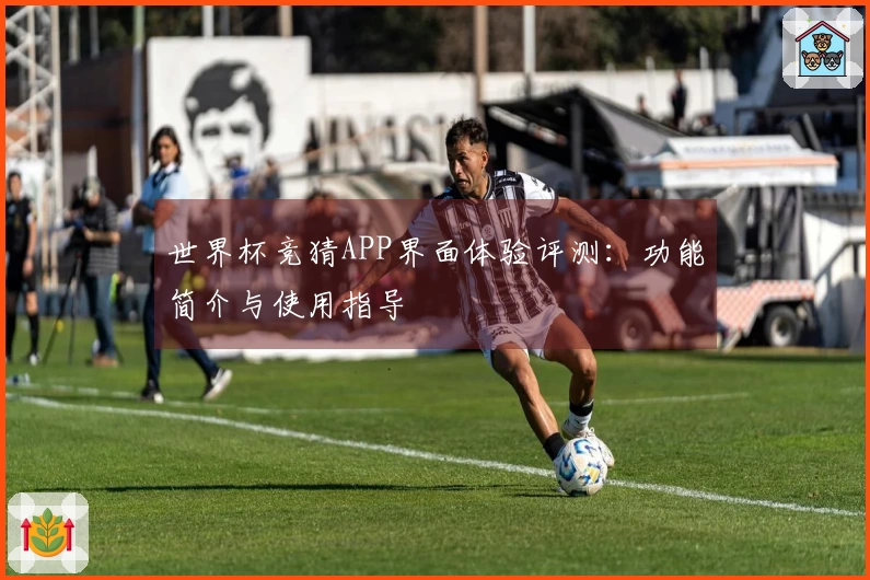 世界杯竞猜APP界面体验评测:功能简介与使用指导