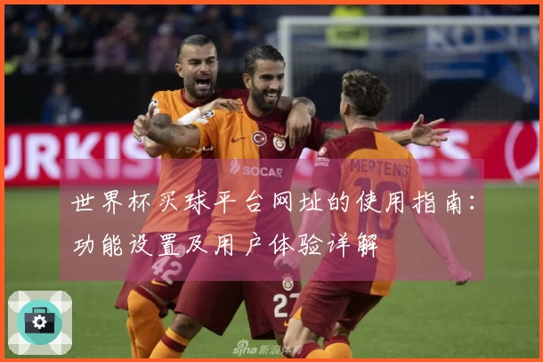 世界杯买球平台网址的使用指南：功能设置及用户体验详解